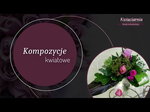 Zobacz filmy filmy
