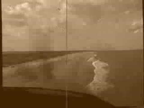 Treetop Flyer video