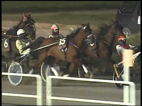 Trotto 30/12/2014 - 7° corsa