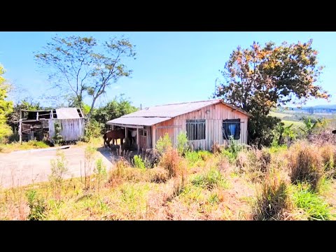 Sítio 7 hectares apenas R$243 mil reais Pinhalão PR (43)998273538