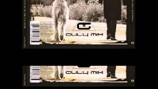 ROBIN GIBB - Avalanche - Extended Mix (gulymix)
