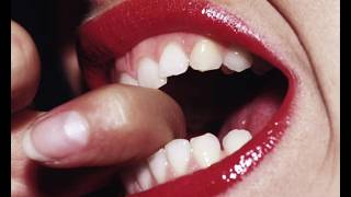 Deadliest Bites: Top 10 Poisonous Insects You NEVER Want to Meet