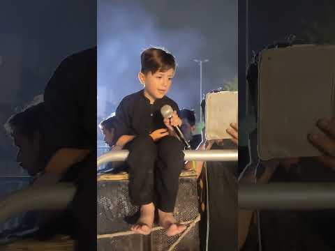 Wa Dama Mazloom Baba | Hammad Nagri | 5 Languages Mix Noha | 2025