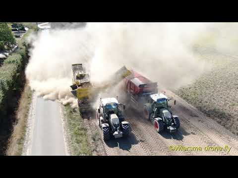 Aardappelrooien in Lottum onder zeer drogen omstandigheden