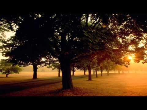 GYTLAZ - Stereo Love (2k16 MIX)