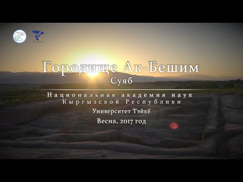 Научно-исследовательская группа Шелкового пути Тэйкё_Исследования в Кыргызской - Раскопки памятника