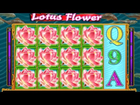 Lotus Flower Slot / Max Bet [$20] / Nice Free Spins and BIG WINS