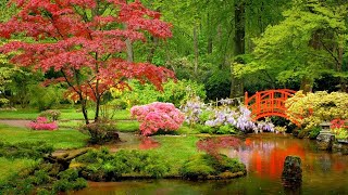 Japanese Garden | Relaxing Music by Peder B. Helland