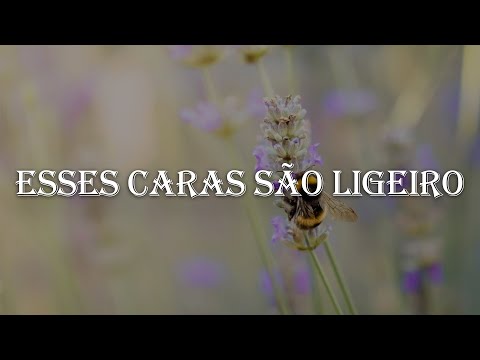 Felipe Araújo Feat Jorgeemateus - Esses Caras São Ligeiro (Letra/Lyrics) | Official Music Video