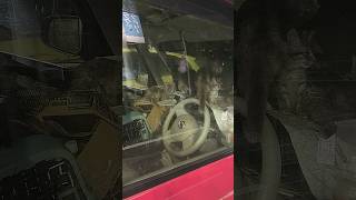 【衝撃】車内で猫を10匹飼っているヤバすぎる老婆に凸したら大喧嘩に…