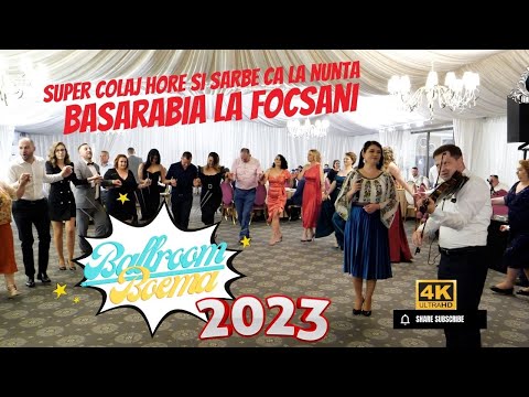 NOU 2023 Formatia Basarabia🔴 Colaj Hore si Sarbe Ca La Nunta ❗❗❗