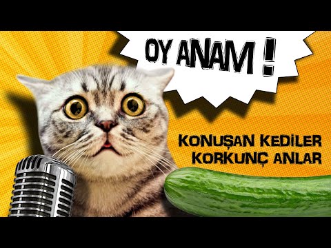 Konuşan Kediler - En Korkunç Anlar (Oy Anam!)