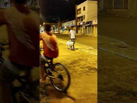 Surgiu um Argentino na caminhada #cachorro #pitbull #dog #viral #shorts