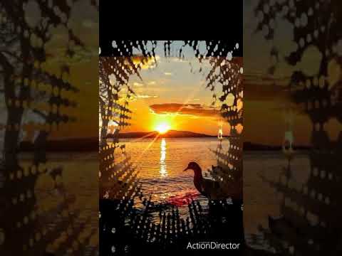 Cantico evangelico pentecostale alla porta del tuo cuore!!!! 🌈💖💖💖🎵🎵🎵🎵🎵🎵💞💞💞💞💞🎵🎵🎵🎵💕💕💕💕💕💕💕