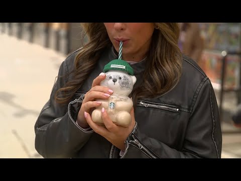 Craze Over Starbuck's 'Bearista Cold Cups'