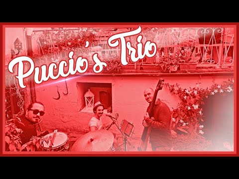 Puccio's Banda MUSICA PER EVENTI Viareggio Musiqua Puccio's Banda MUSICA PER EVENTI Viareggio Musiqua