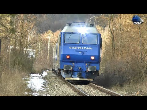 Horns Concert de Goarne By Jimmy 64-1019-0 in Defileul Crișul Repede Canyon - 21 January 2021
