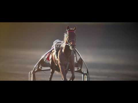 Bold Eagle and Timoko clash again in the Grand Prix de Bourgogne on New Year's Day 2017