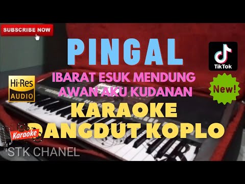 PINGAL( Esuk Mendung Awan Aku Kudanan) KARAOKE DANGDUT KOPLO STK CHANEL