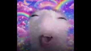 UwU Baby Give Me One More Chance