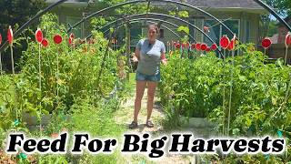 How I Feed My Garden for a Bigger Harvest (Compost, Worms & More)