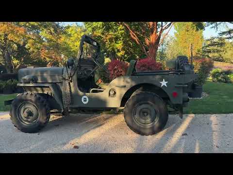 WILLYS CJ 3 B universal J-video-23