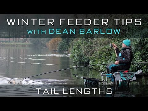 Winter Feeder Tips With Dean Barlow - Tail Lengths