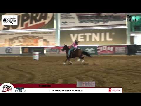 ST PANSOTI x GLENDA CEREZER 4° LUGAR FEMININA REGIONAL OESTE 16’977 - Haras Raphaela