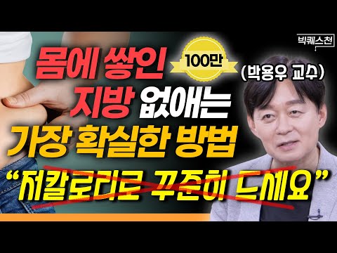 당신이 살이 찌는 진짜 이유, 다이어트 실패의 원인은?