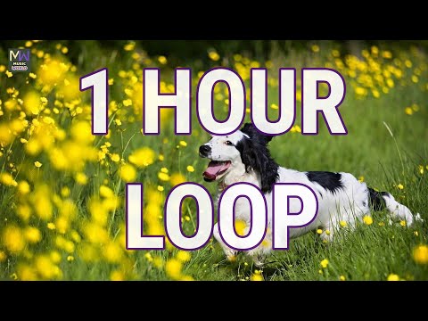 SPRING IN MY STEP — SILENT PARTNER｜SPRING IN MY STEP ★ 1 HOUR LOOP NO COPYRIGHT MUSIC POP HAPPY