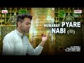 Humaray Pyare Nabi ﷺ | Mehmood J | (Full Naat)  | Mehmood J | New Naat 2022 | New version No Music