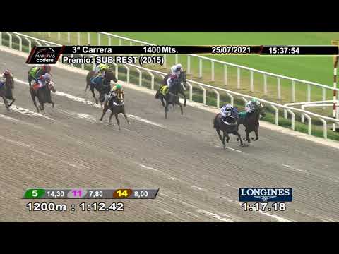 210725 c03 HAPPY POTATOE (BRZ)