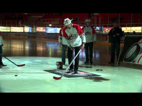 3.3.2015 DNA Business Challenge: TPS - Pelicans