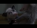 Over The Hedge 2006 Stealing Food For Glady S House