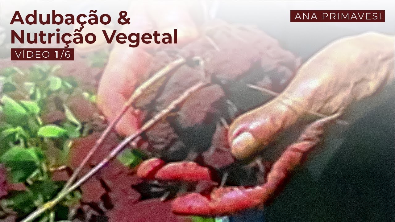 Adubação e Nutrição Vegetal | Ana Maria Primavesi