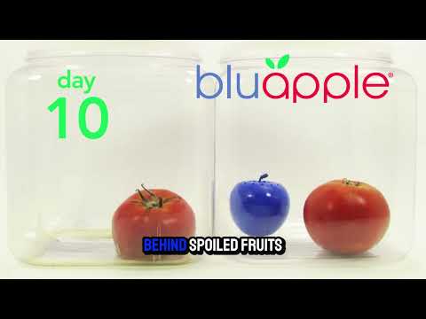 Meet the Bluapple System video thumbnail
