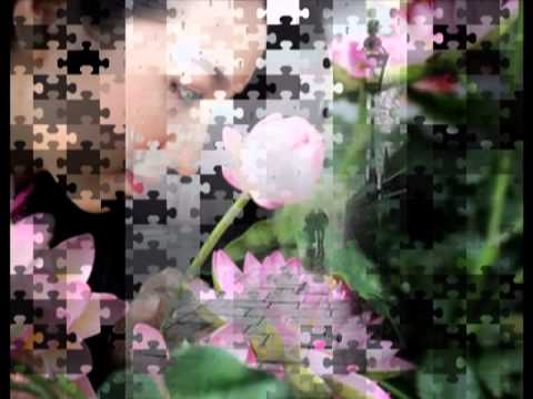 Thành phố thiên thần Sheet - Vũ Khanh