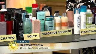 Så väljer du rätt schampo - Nyhetsmorgon (TV4)