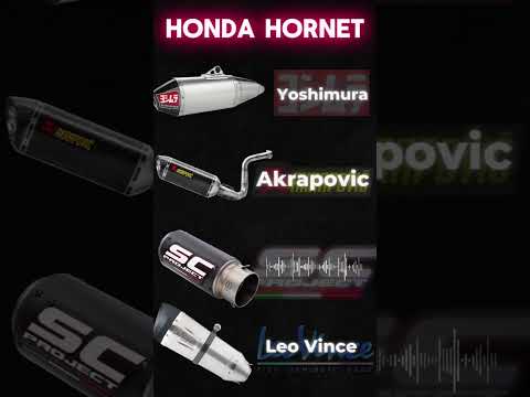 Honda Hornet Best Exhaust Sounds! #dyno #exhaust #hondahornet