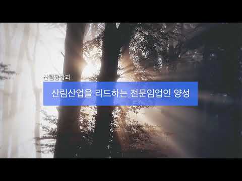 송곡대학교 산림융합과 홍보영상 YouTube Thumbnail