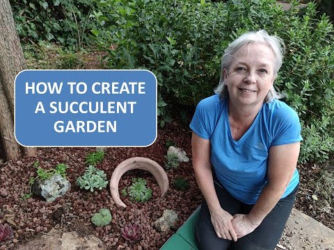 HOW TO CREATE A SUCCULENT GARDEN / STEP BY STEP GUIDE TO CREATING AN OUTDOOR SUCCULENT GARDEN