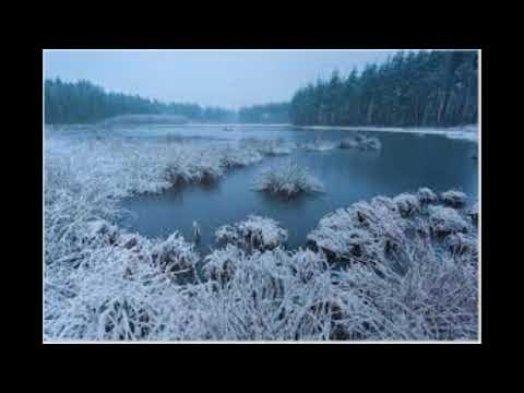 Ein Wintermorgen, Solotarjow