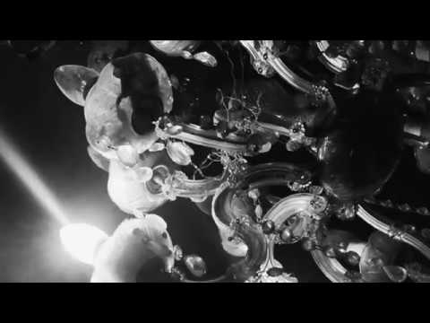 Rothschild - Bear Trap (OFFICIAL MUSIC VIDEO)