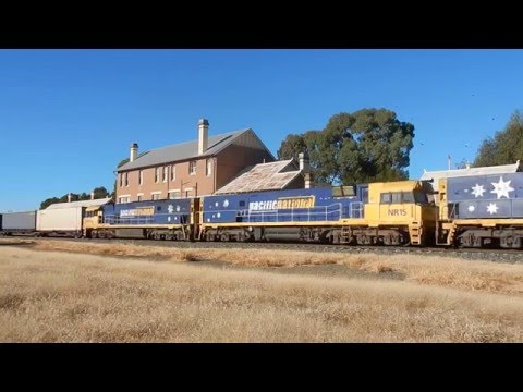 Junee Trains NR36, NR15 & NR119 with 2SP7
