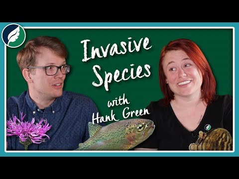 Why Do Invasive Species Get So Much Hate? (Ft. Hank Green)