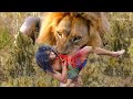Lion Attack Man in Forest || Lion Attack Hunter || Lion Attack Stories Part-8