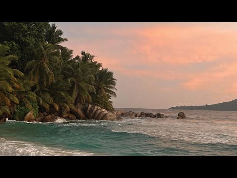 coeurs radio - episode 001 | chill house vibe