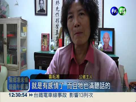 奇"雞"寶寶! 站主人肩膀逛大街