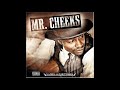 Mr. Cheeks - Mass Homicide