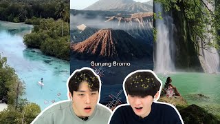 Download lagu Wonderland IndonesiaTIKTOK | Reaksi terkejut orang Korea melihat alam Indonesia untuk pertama kali mp3 Download lagu Wonderland IndonesiaTIKTOK | Reaksi terkejut orang Korea melihat alam Indonesia untuk pertama kali mp3